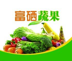 首富单机游戏_首富来了手机游戏_首富游戏无限金币