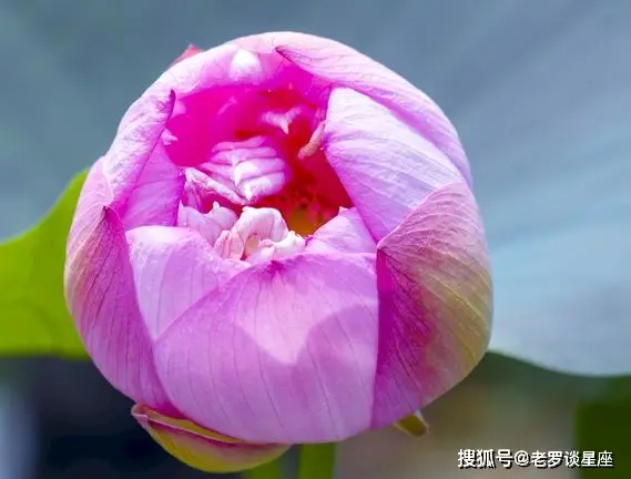 制作手机游戏的手机软件_制作游戏手机游戏_手机制作游戏大作
