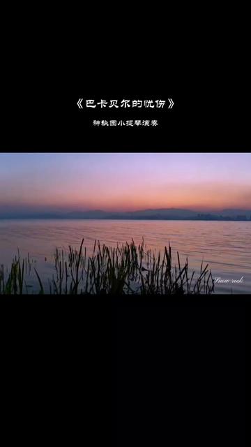 维内托维托里奥_维内托_维内托泳装