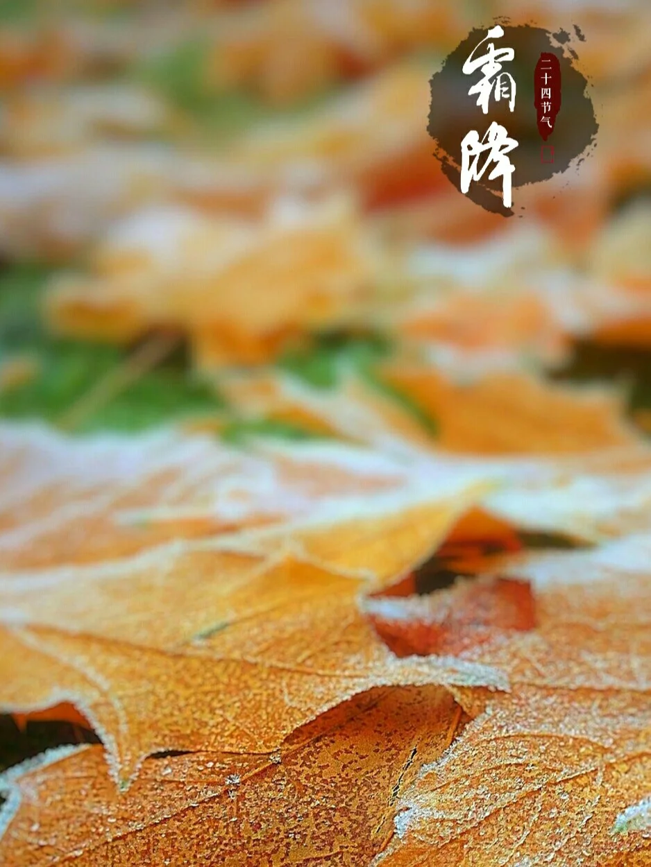立秋一侯二候三候节气_二十四节气七十二候_一侯二候三候节气