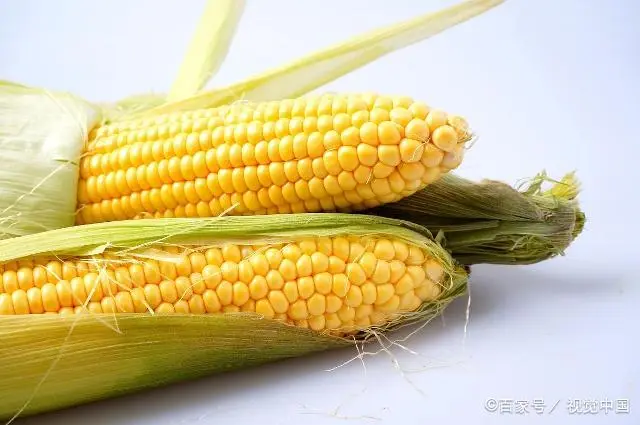 王牌战争最新版本下载安装_王牌战争官方版本下载_王牌战争下载游戏正版手机
