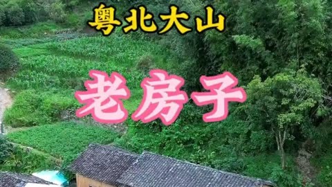 天音エミル_天音tianyin_天音官方网站