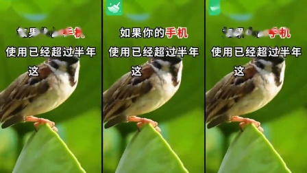 苹果手机内存不足怎么办_ios手机内存_苹果存储内存
