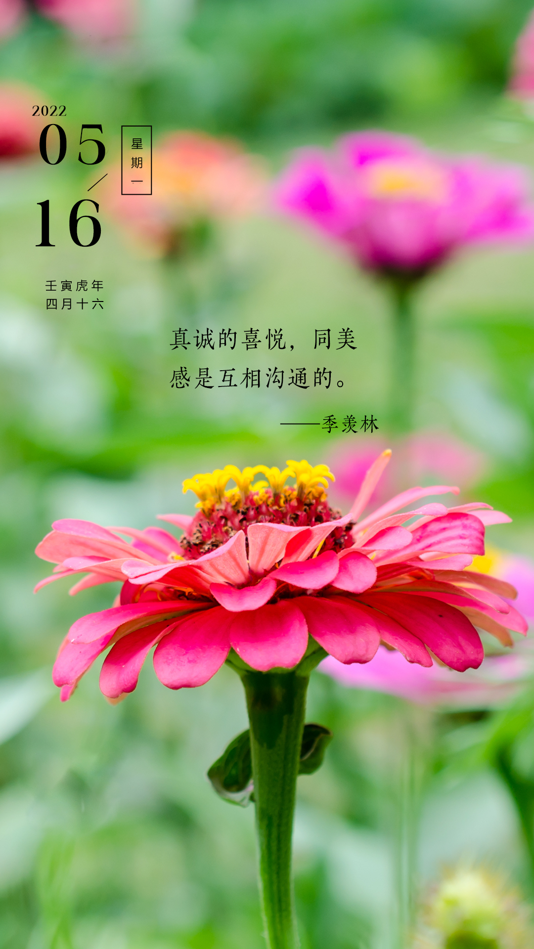高远遥一_高远遥一_高远遥一