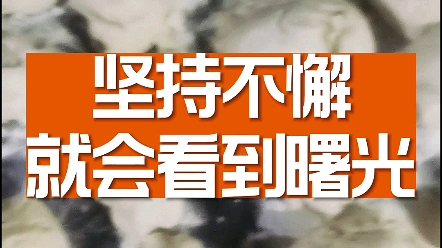 天童木更_天童木更_天童木更