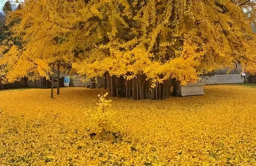 时时彩计划软件_时时彩计划软件_时时彩计划软件