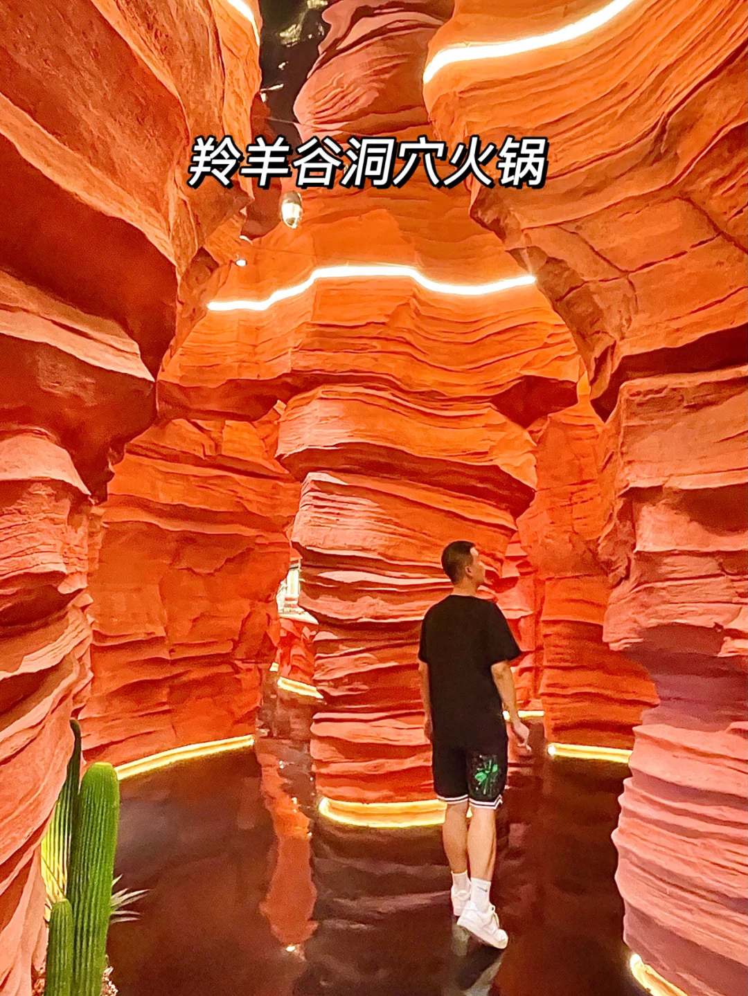 iphone玩游戏的手机_未来苹果手机怎么玩游戏_苹果玩未来手机游戏怎么样