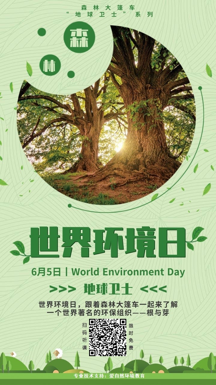 主题环境创设包括哪些内容_主题环境创设_环境日主题