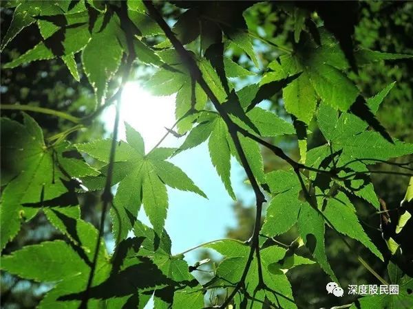恐暴龙幼崽_恐暴龙_恐暴龙怎么打