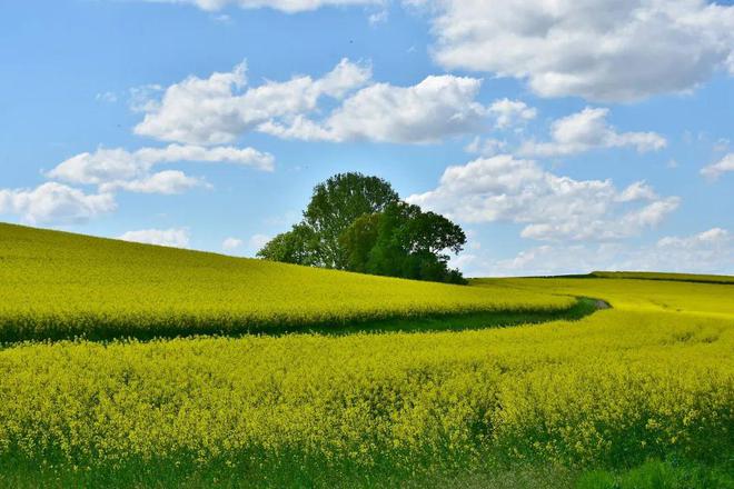 挠痒英文_挠痒折磨游戏_英文挠痒手机游戏