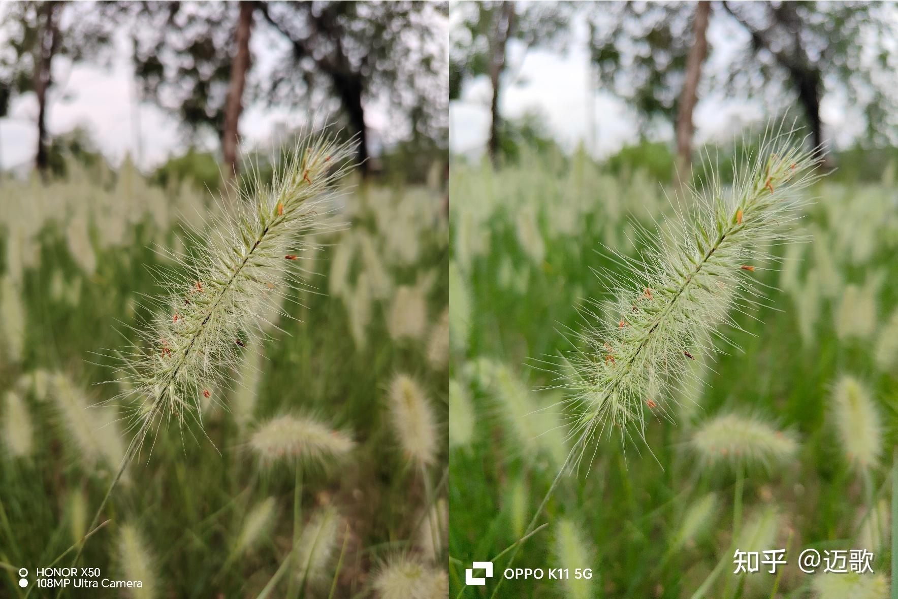 拍照玩手机游戏用哪个软件_玩游戏和拍照用什么手机_拍照玩手机游戏用什么软件