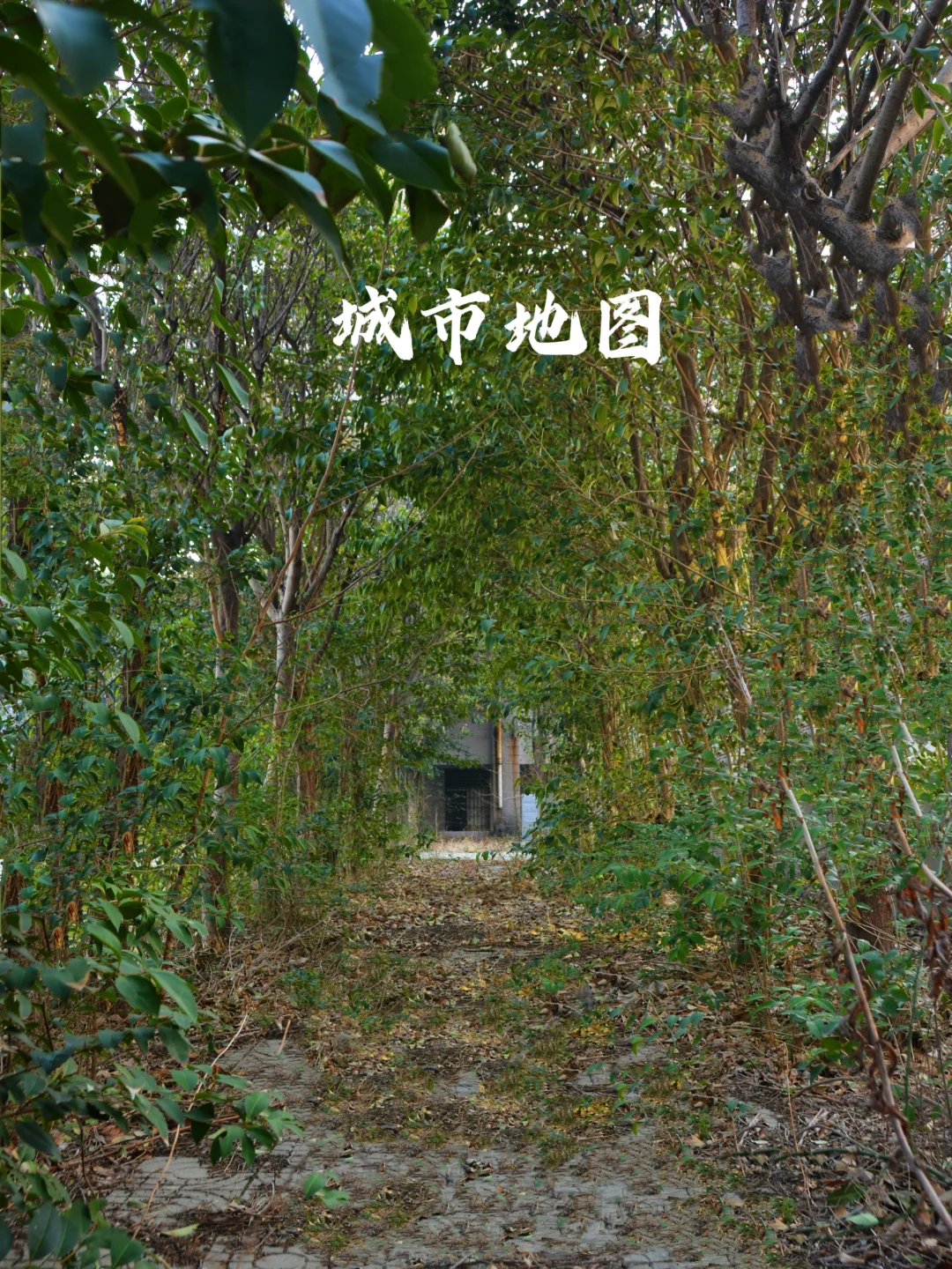时间停止_时间停止_时间停止