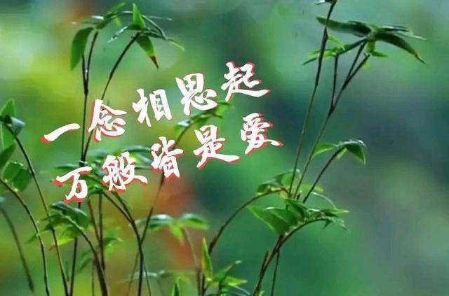 妮可_妮可妮可妮动态图_妮可妮可妮斗鱼
