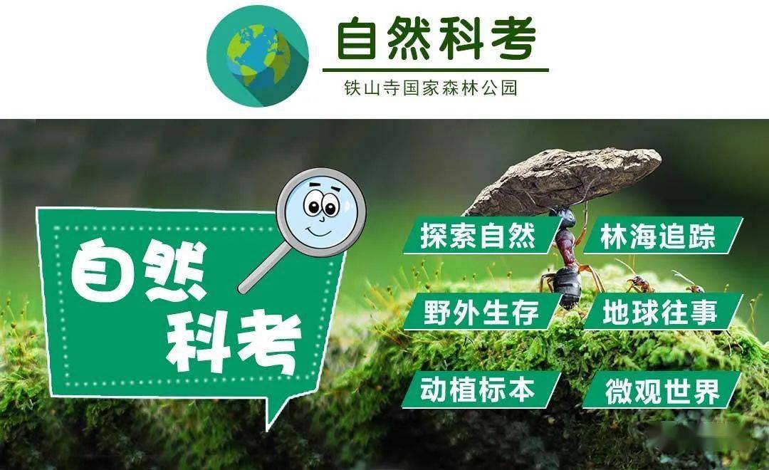 玉兔号月球车_月球车玉兔号现在怎样_玉兔号月球车还能回到地球吗