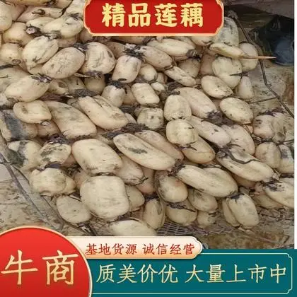 沭阳老游戏网手机版_平价好用的护肤品谁推荐下_沭阳游戏手机推荐平价游戏