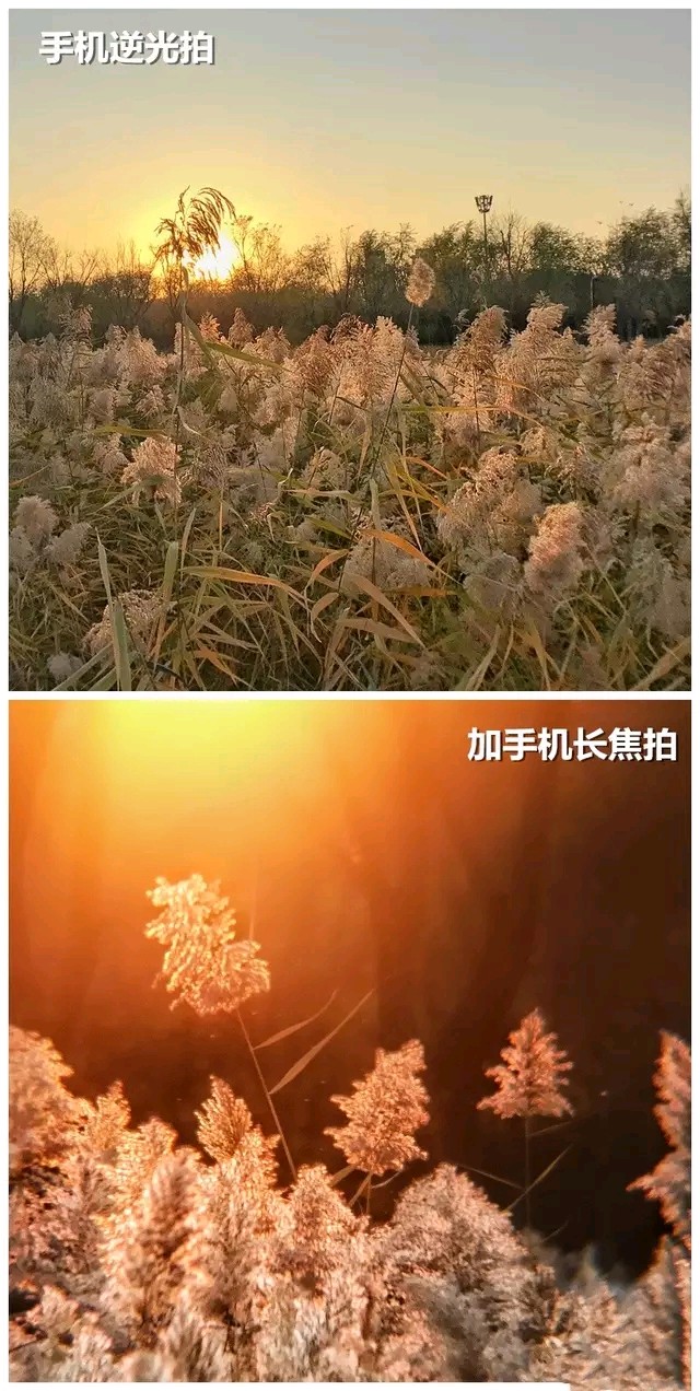 小米手环如何开机_小米手环如何开机视频教程_小米手环开机视频