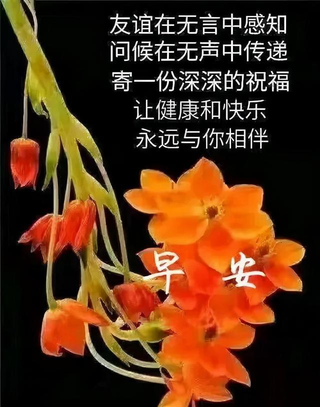 月经_月经量少颜色黑褐色是什么原因_9月13日