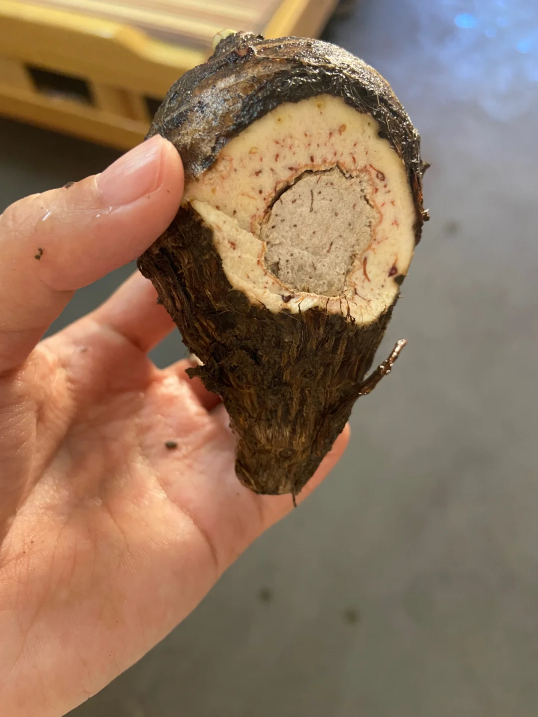 游戏二手手机推荐_买二手的游戏手机什么手机好_游戏方面的二手手机能买吗