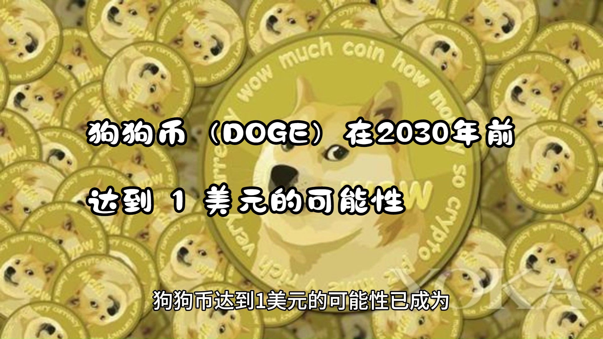 dog前景_狗狗币前景_狗狗币前途