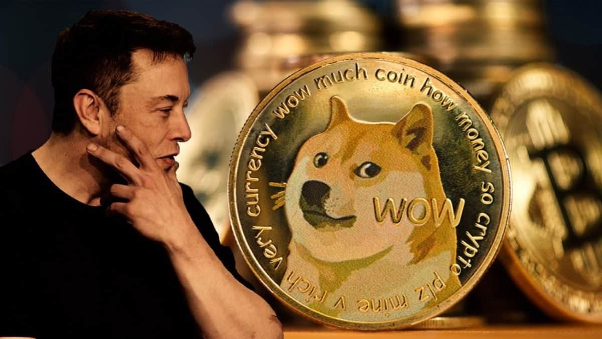 狗狗币前途_dog前景_狗狗币前景