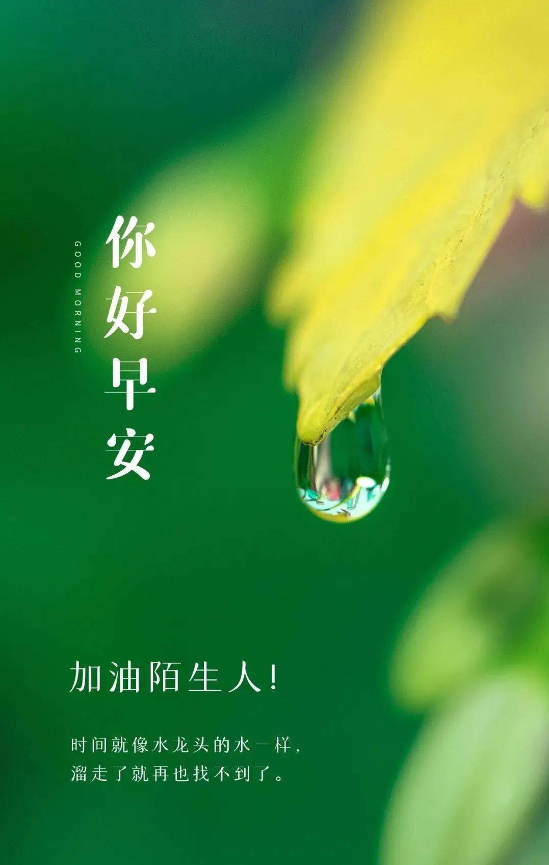 号脉左手是什么右手是什么_9月12号_号用英语怎么说