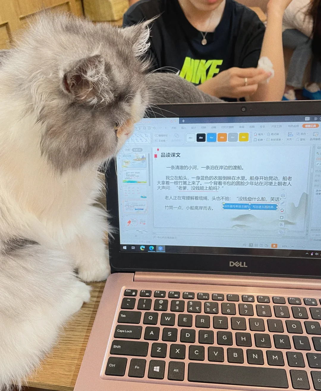 猫咪软件粉色的图标_黄金网站app下载大全_猫咪软件app