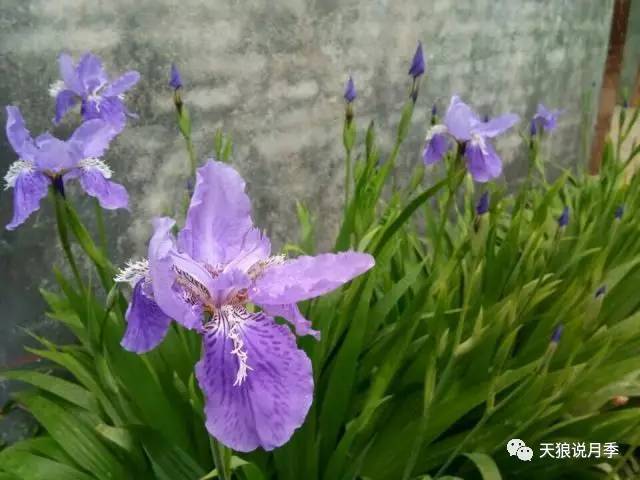 淘宝违规申诉留言怎么写_违规申诉淘宝评价说明怎么写_淘宝说我评价违规了怎么申诉