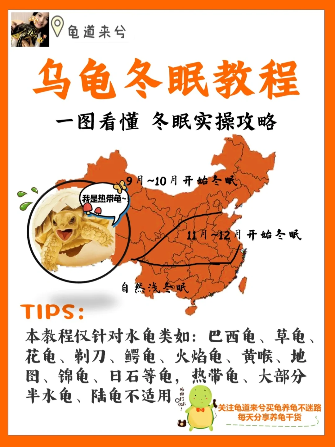 邻座的怪同学全集免费观看_邻座的怪同学第二季_邻桌的怪同学