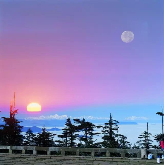 东方天空璋_东方天空璋人物立绘_东方天空璋封面