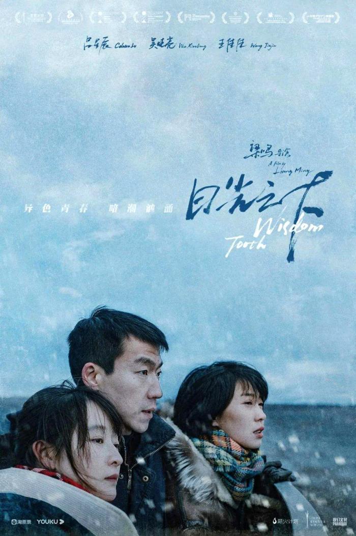 《智齿》港片资源_港片智齿百度网盘_智齿港剧