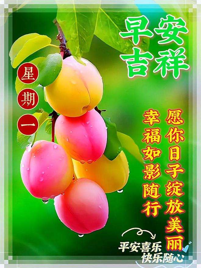 jojo丽萨丽萨_丽萨丽萨_丽萨榕