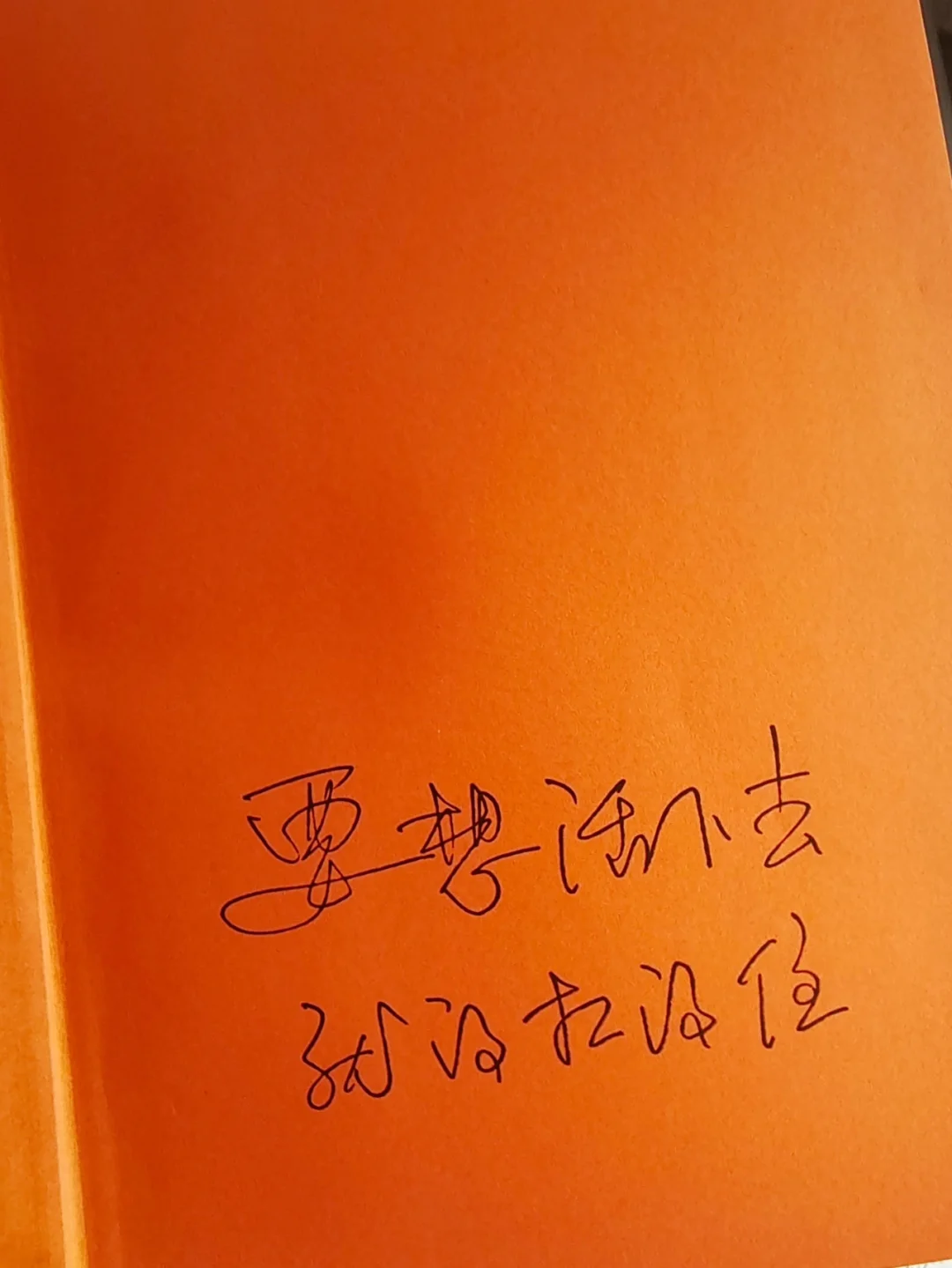 月光指引你_月光的指引_月光指引我前行