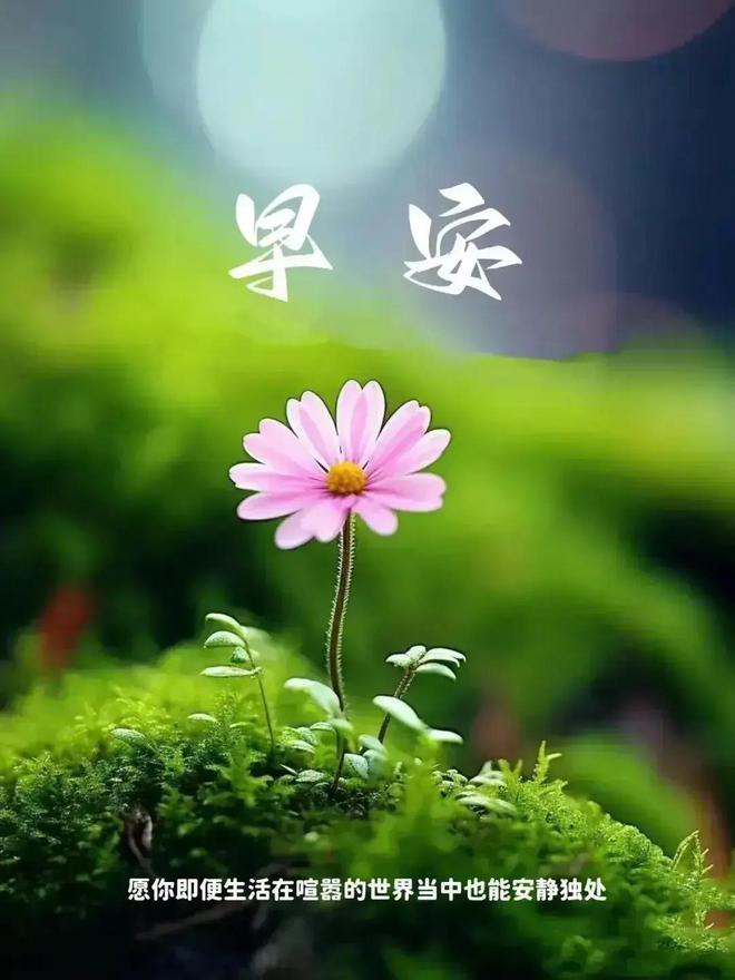 听见涛声_听见涛声是宫崎骏的吗_听见涛声在线观看