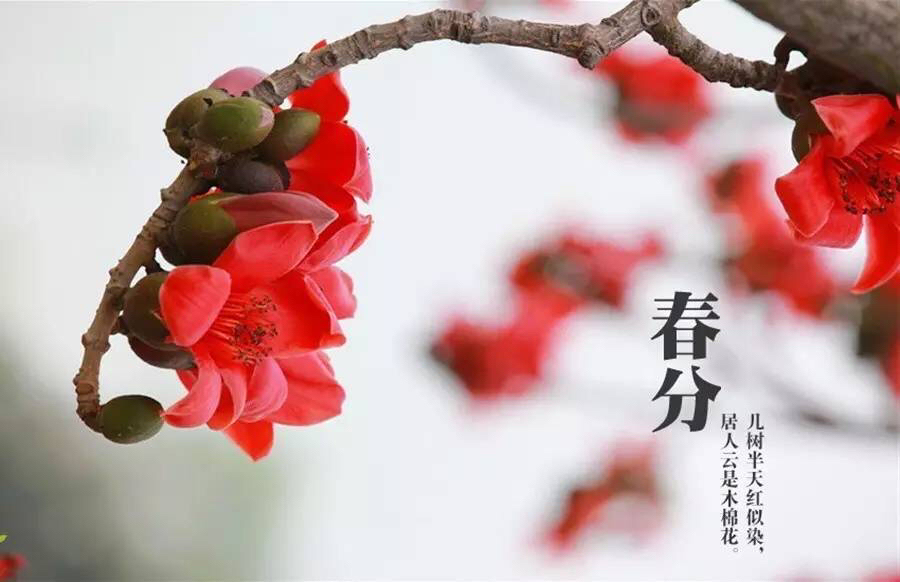 寓意春分的小名_春分寓意美好的诗句_春分的寓意