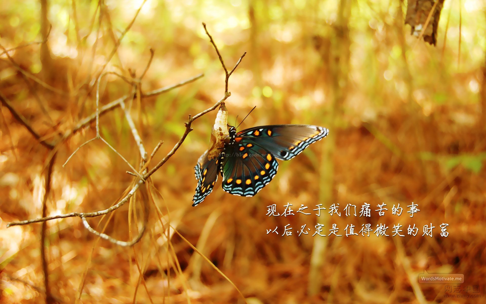 中文字幕的_phpjson_encode中文_中文→繁体字