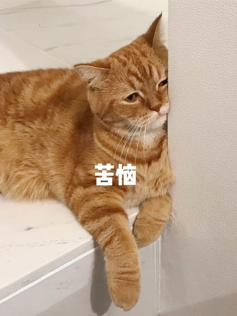 口癖怎么读_口癖是什么意思_口癖