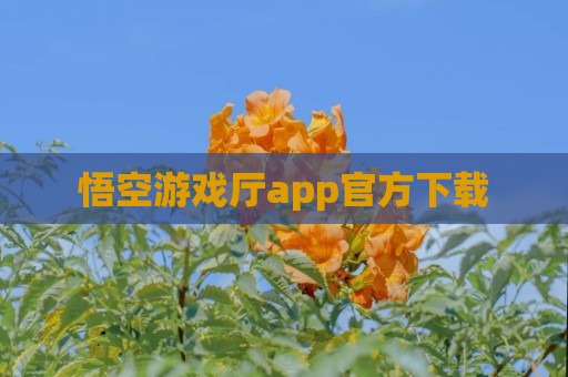 悟饭游戏厅手机上怎么用_悟饭游戏厅版本v3.6.2_悟饭游戏厅大厅