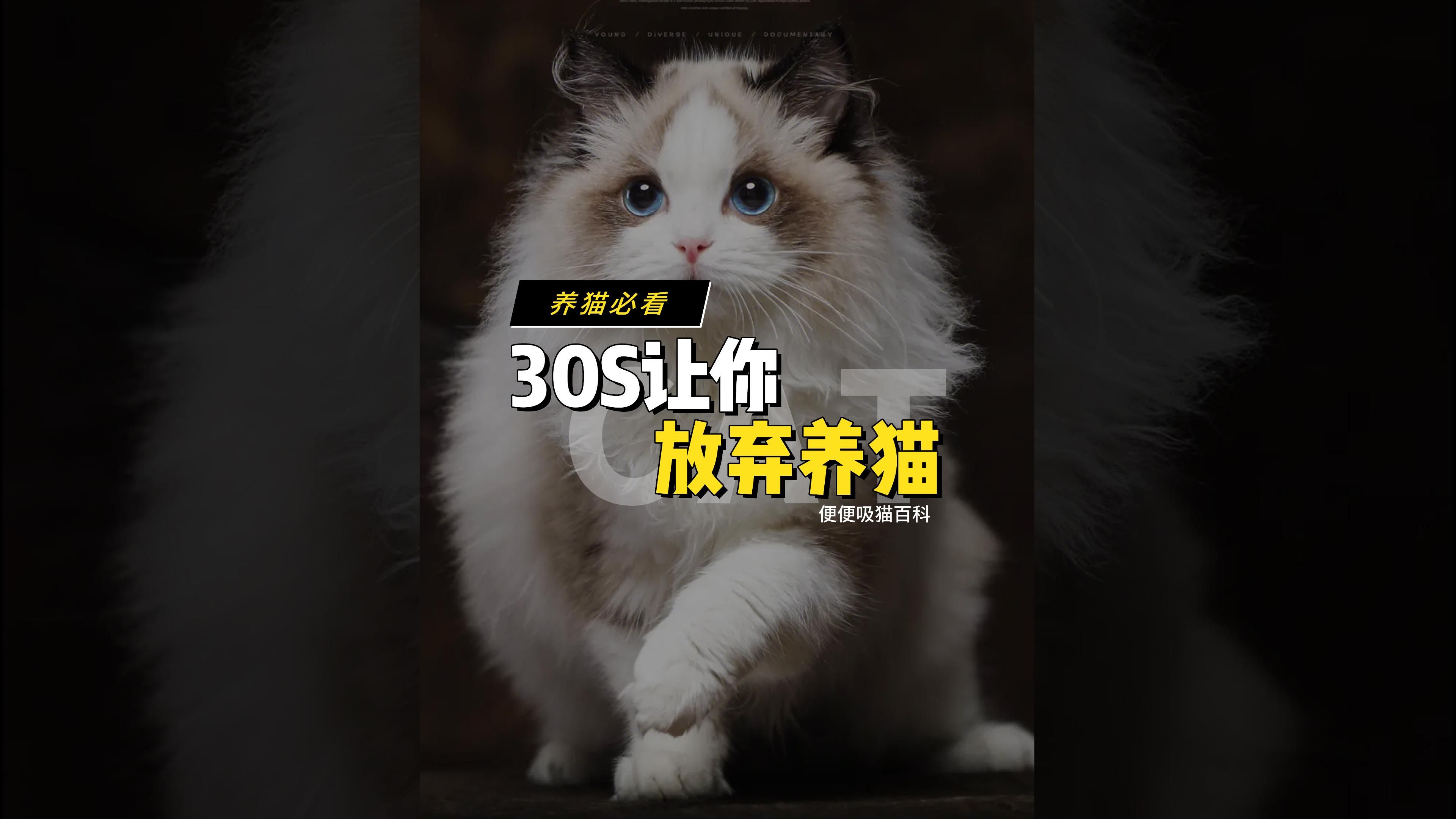 玩养猫游戏可以赚钱_养猫骗局报案侦查结果_养猫手机游戏骗局