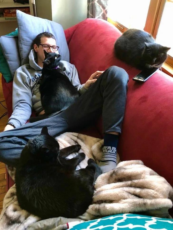 养猫手机游戏骗局_玩养猫游戏可以赚钱_养猫骗局报案侦查结果