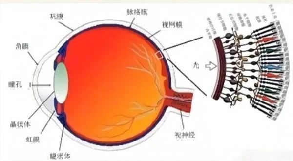 伤眼睛的手机屏幕_游戏手机屏幕伤眼吗_伤眼的手机