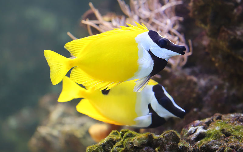 深海免费完整版高清在线观看_深海电视剧在线观看_《深海》电影国漫免费观看