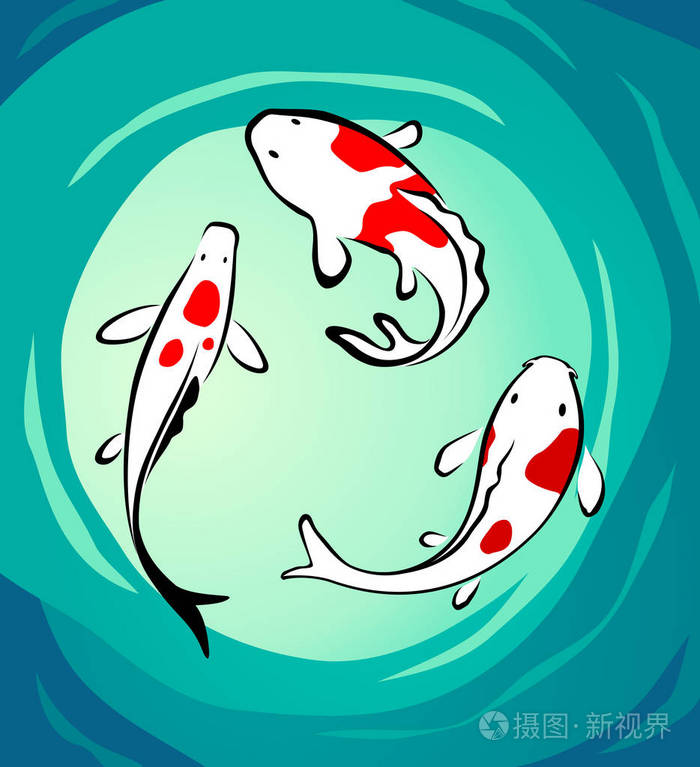 鲤鱼s视频_鲤鱼s_鲤鱼是什么鱼