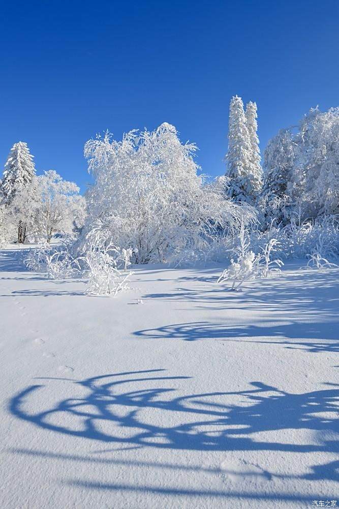 林海雪原游戏攻略_林海雪原游戏_林海雪原游戏资源